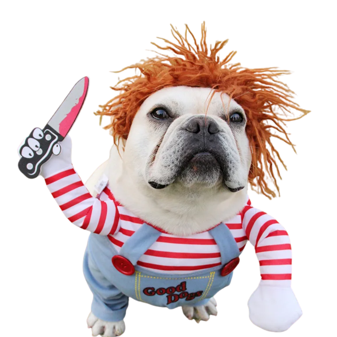 PETS COSTUMES