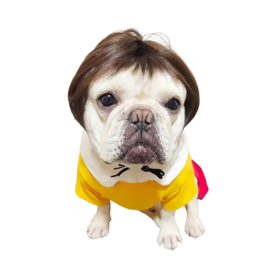PET WIG COSTUME