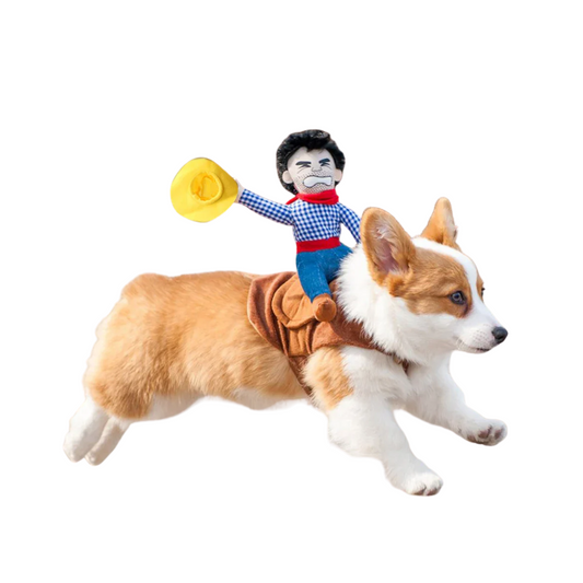COWBOY PET COSTUME