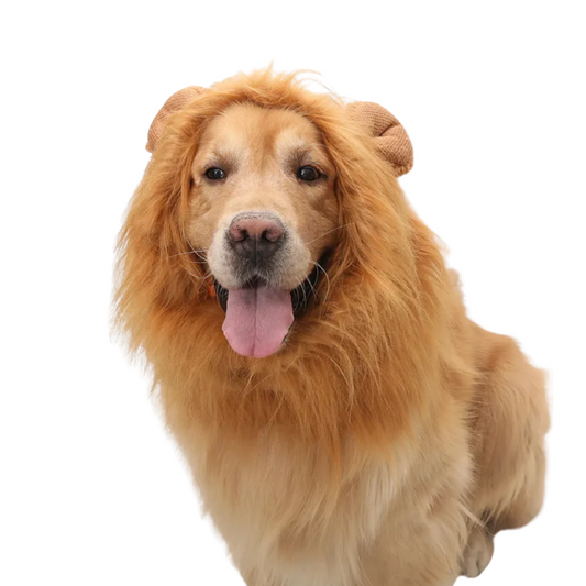 LION MANE PET COSTUME