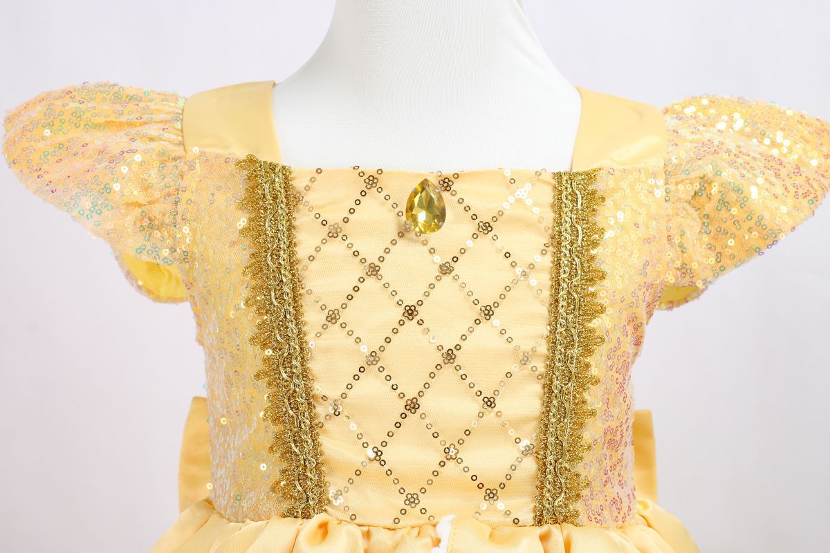 PRINCESS AND THE BEAST DRESS
