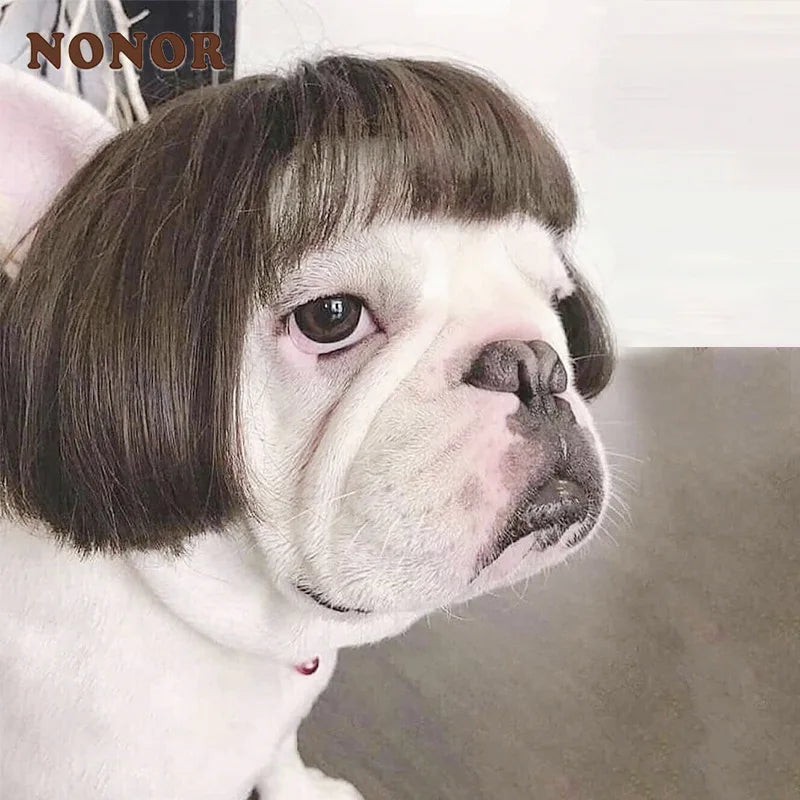 PET WIG COSTUME