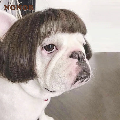 PET WIG COSTUME