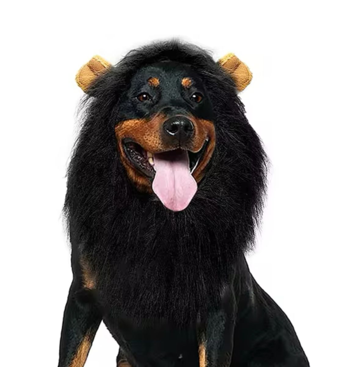 LION MANE PET COSTUME