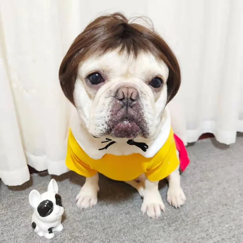 PET WIG COSTUME