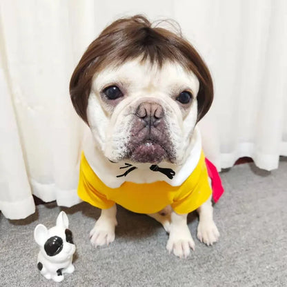 PET WIG COSTUME