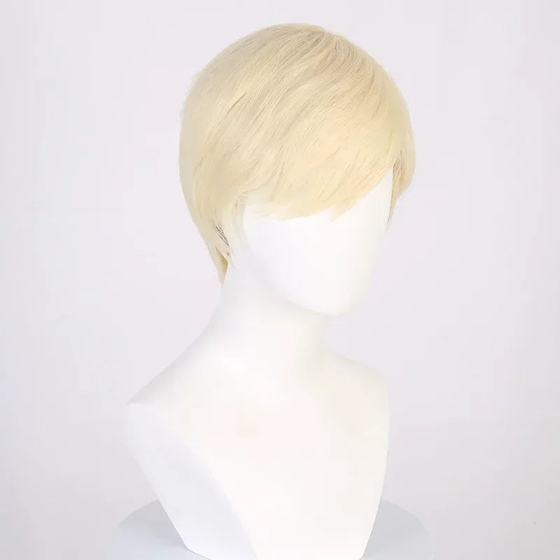 KEN COSTUME WIG