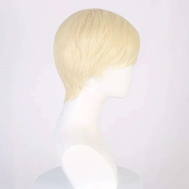KEN COSTUME WIG