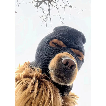 THIEF DOG COSTUME